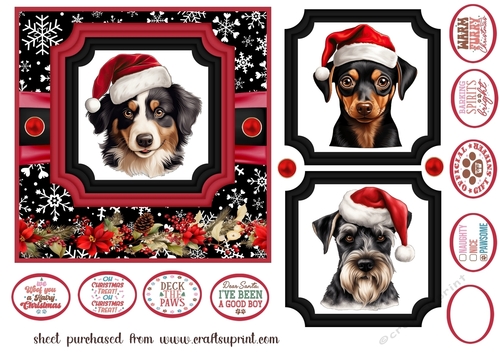 Hairy Christmas card front 17