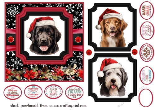Hairy Christmas card front 18