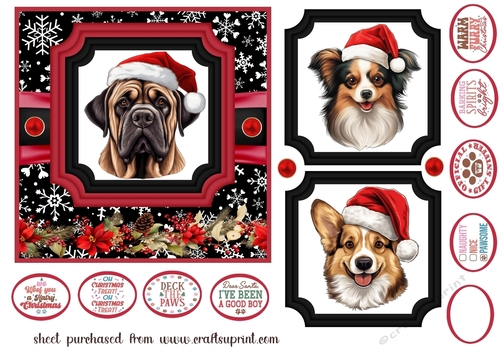 Hairy Christmas card front 19