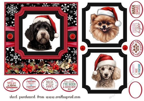 Hairy Christmas card front 20