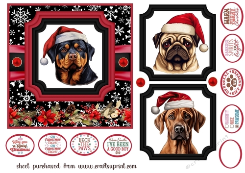 Hairy Christmas card front 21