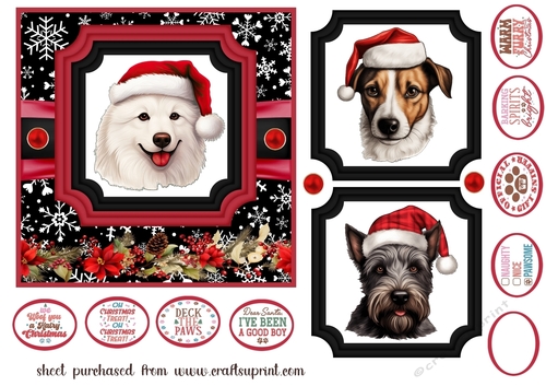 Hairy Christmas card front 22