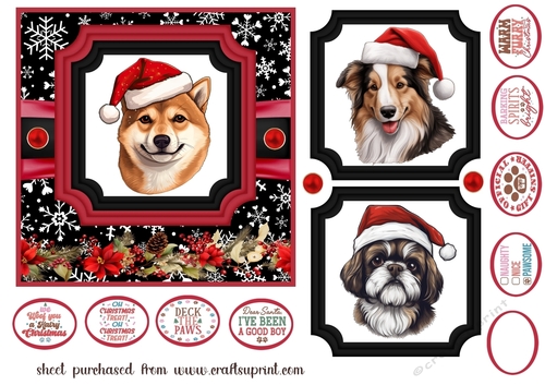 Hairy Christmas card front 23