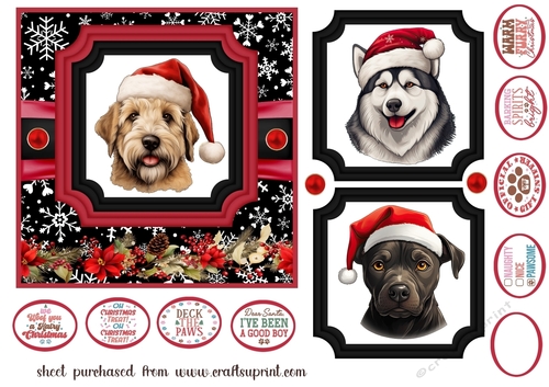 Hairy Christmas card front 24