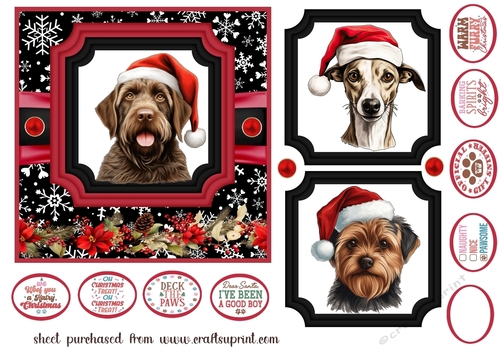 Hairy Christmas card front 26