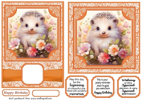 5x7 and 6x6 aprox Orange hedgehog card fronts