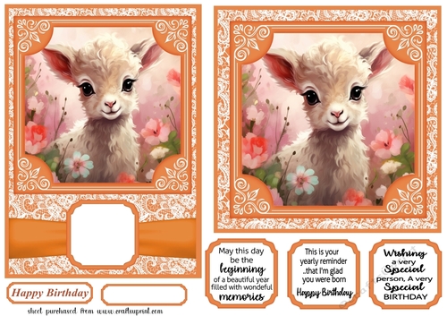 5x7 and 6x6 aprox Orange lamb card fronts