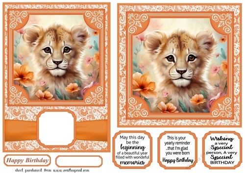 5x7 and 6x6 aprox Orange lion card fronts