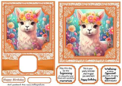 5x7 and 6x6 aprox Orange llama card fronts