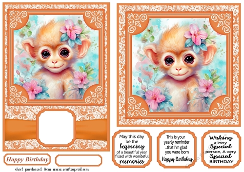 5x7 and 6x6 aprox Orange monkey card fronts