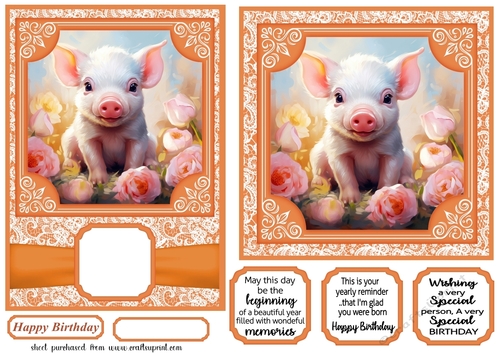 5x7 and 6x6 aprox Orange pig card fronts