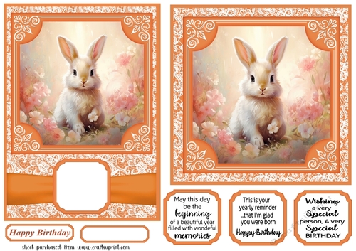 5x7 and 6x6 aprox Orange rabbit card fronts