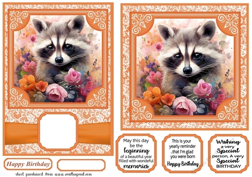 5x7 and 6x6 aprox Orange raccoon card fronts