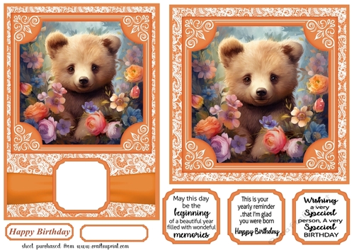 5x7 and 6x6 aprox Orange bear card fronts