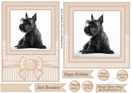 Peach 5x7 and 6x6 aprox Scottish terrier card fronts 2