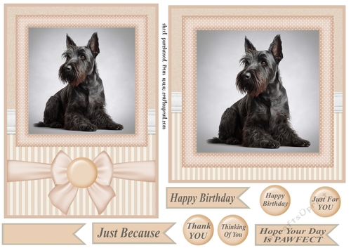 Peach 5x7 and 6x6 aprox Scottish terrier card fronts 3