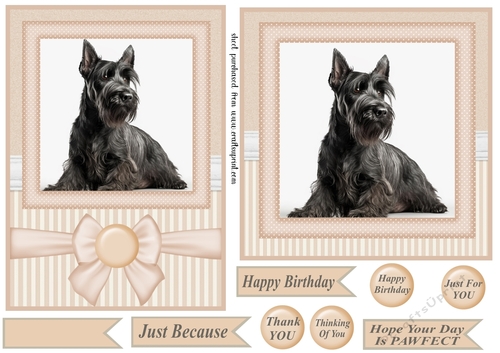 Peach 5x7 and 6x6 aprox Scottish terrier card fronts 4