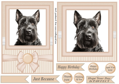Peach 5x7 and 6x6 aprox Scottish terrier card fronts 5