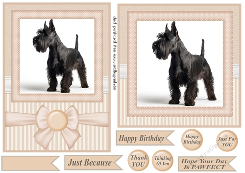 Peach 5x7 and 6x6 aprox Scottish terrier card fronts 8