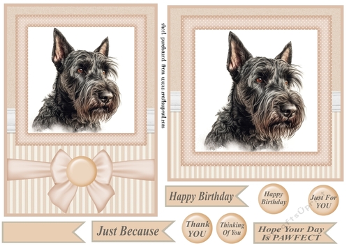 Peach 5x7 and 6x6 aprox Scottish terrier card fronts 11