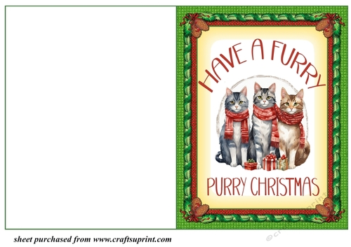 Have a furry cut and fold card 