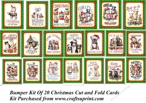 Bumper kit of 20 Christmas cut and fold cards