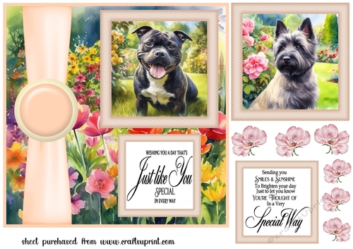 Peach Summer garden pup card front 1