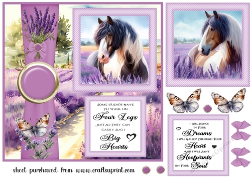 Lavender horse card front 1