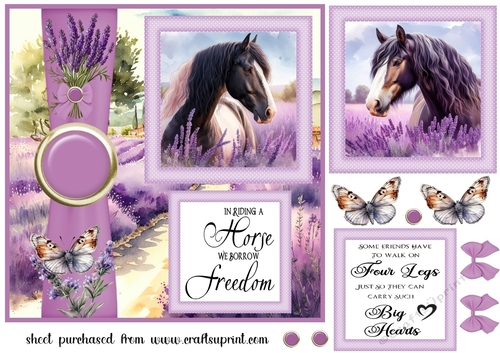 Lavender horse card front 2