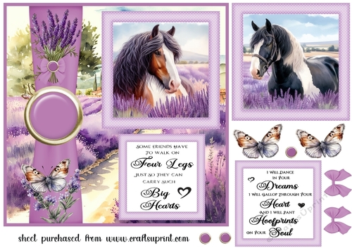 Lavender horse card front 5