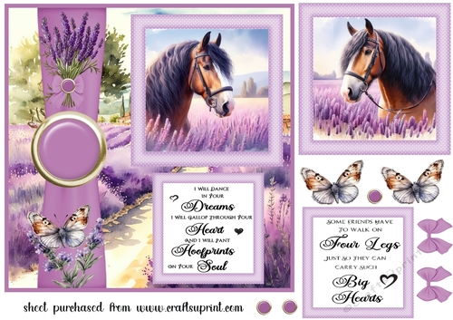 Lavender horse card front 6