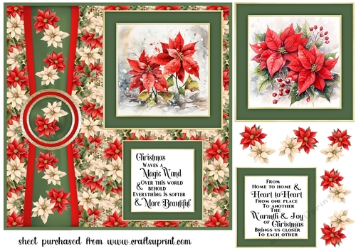 Winter poinsettia card front 2