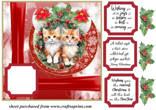 Red Christmas kittens card front 4