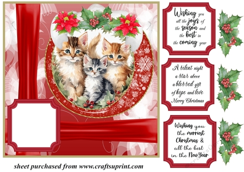 Red Christmas kittens card front 9