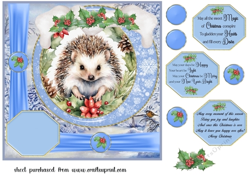 Blue Christmas hedgehog card front 1