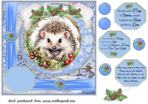 Blue Christmas hedgehog card front 2