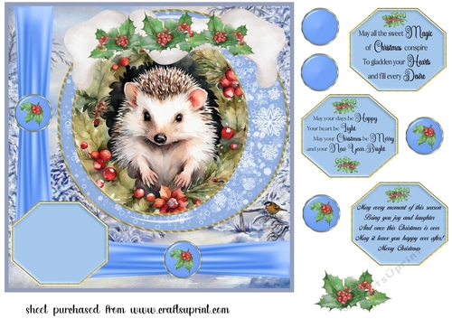 Blue Christmas hedgehog card front 3