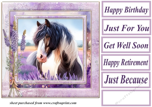 Framed lavender horse card front 1