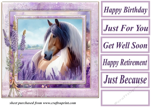 Framed lavender horse card front 2