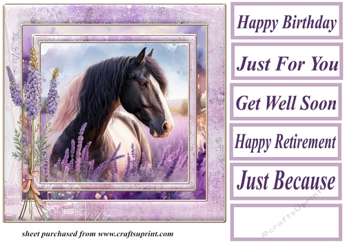 Framed lavender horse card front 3