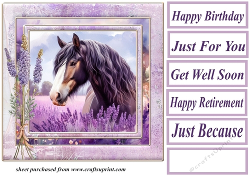 Framed lavender horse card front 4