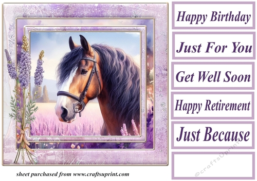 Framed lavender horse card front 5