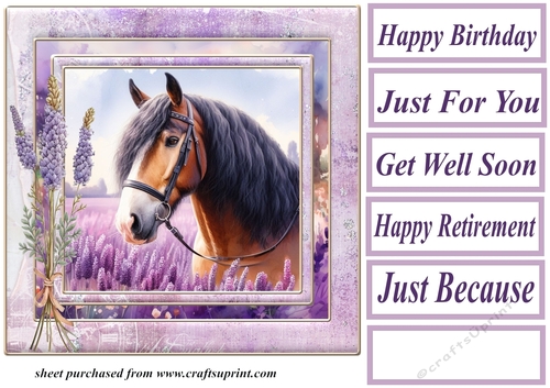 Framed lavender horse card front 6