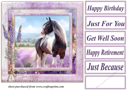Framed lavender horse card front 7