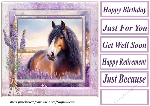 Framed lavender horse card front 10