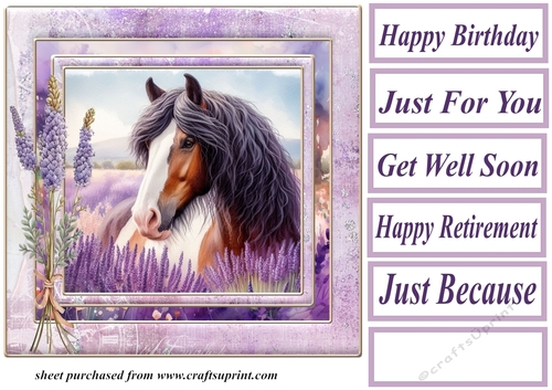 Framed lavender horse card front 11