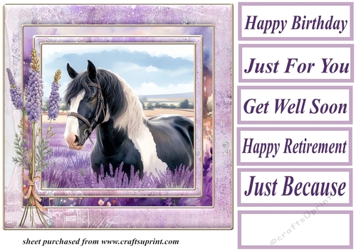 Framed lavender horse card front 12