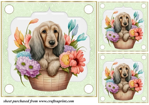 3 Green floral pup in basket card front/toppers 1