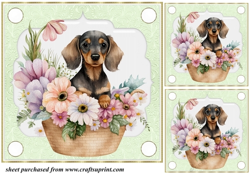 3 Green floral pup in basket card front/toppers 5