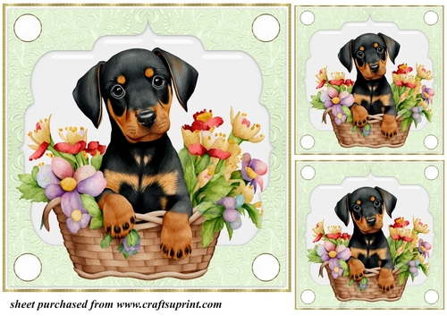 3 Green floral pup in basket card front/toppers 7